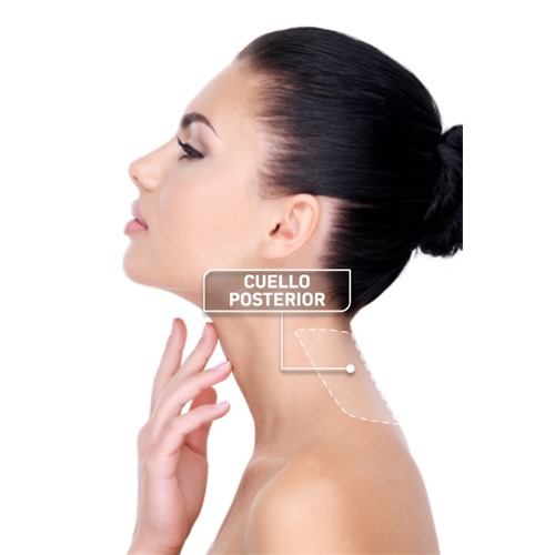 Cuello posterior mujer